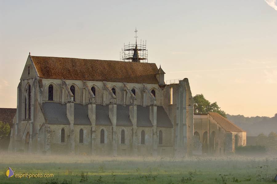 Nom de l'image : D2237854_1_(c)Norbert-JUNG — Description :